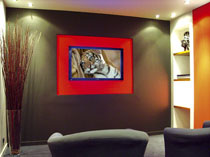 home cinema ecran plasma
